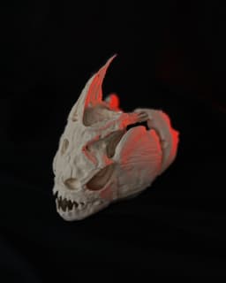 Piranha Skull (Pygocentrus Nattereri) 3d model
