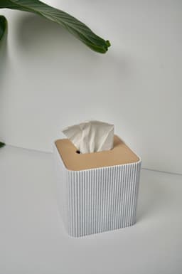 TISTWO -Magnetic Tissue box and Tabletop bin 3d model
