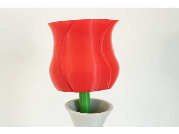 Spiral Vase Rose With modular Stem 3d model