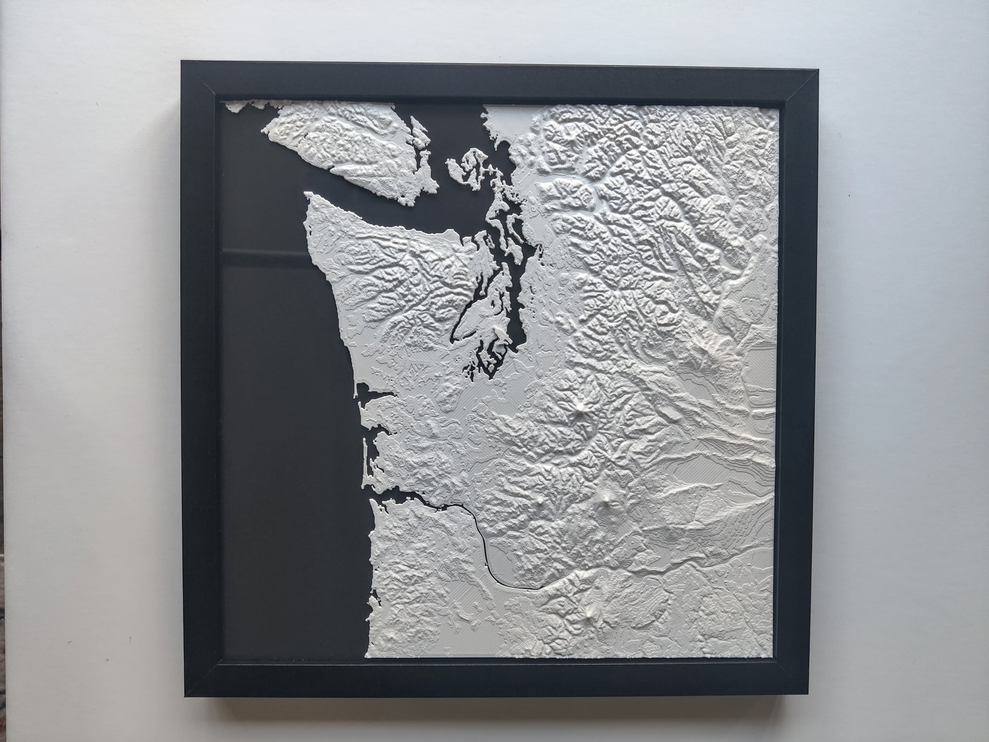 Pacific Northwest 3d model