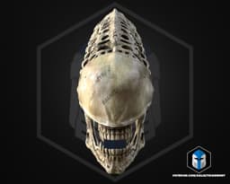 Xenomorph Skull - 3D Print Files 3d model