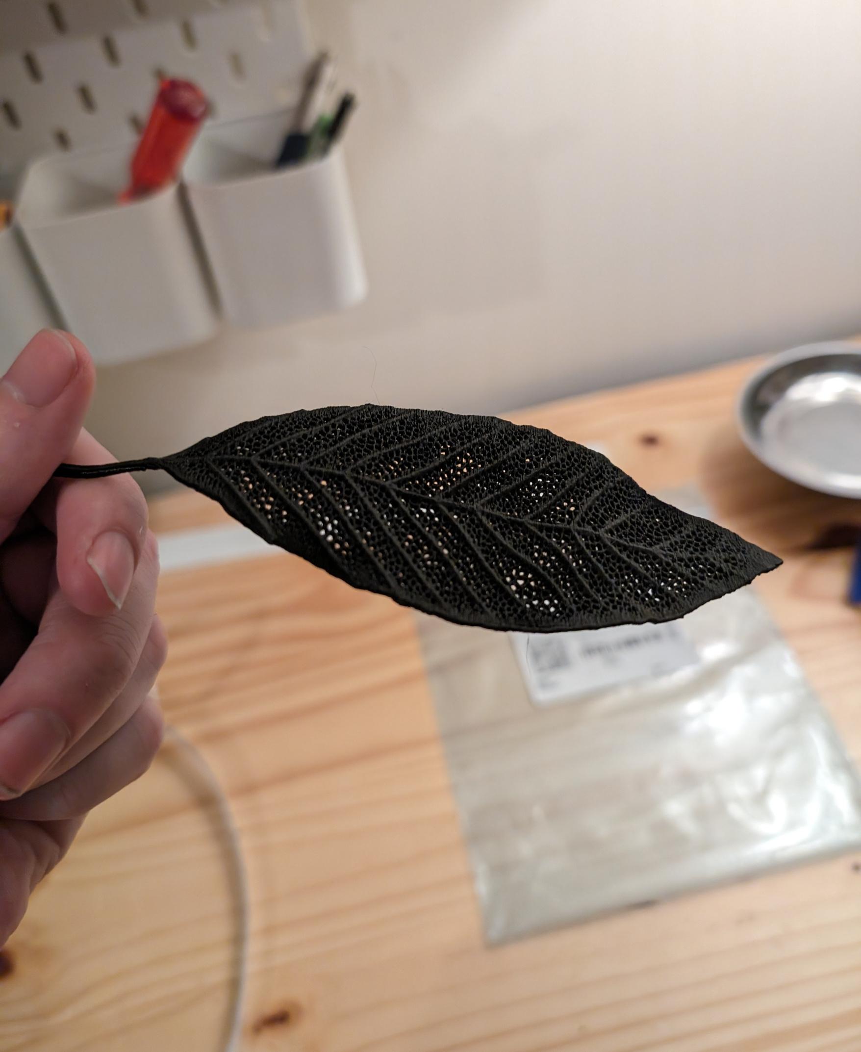 Skeleton Leaves - Willow - Original scale printer leaning back a bit on supports - 3d model