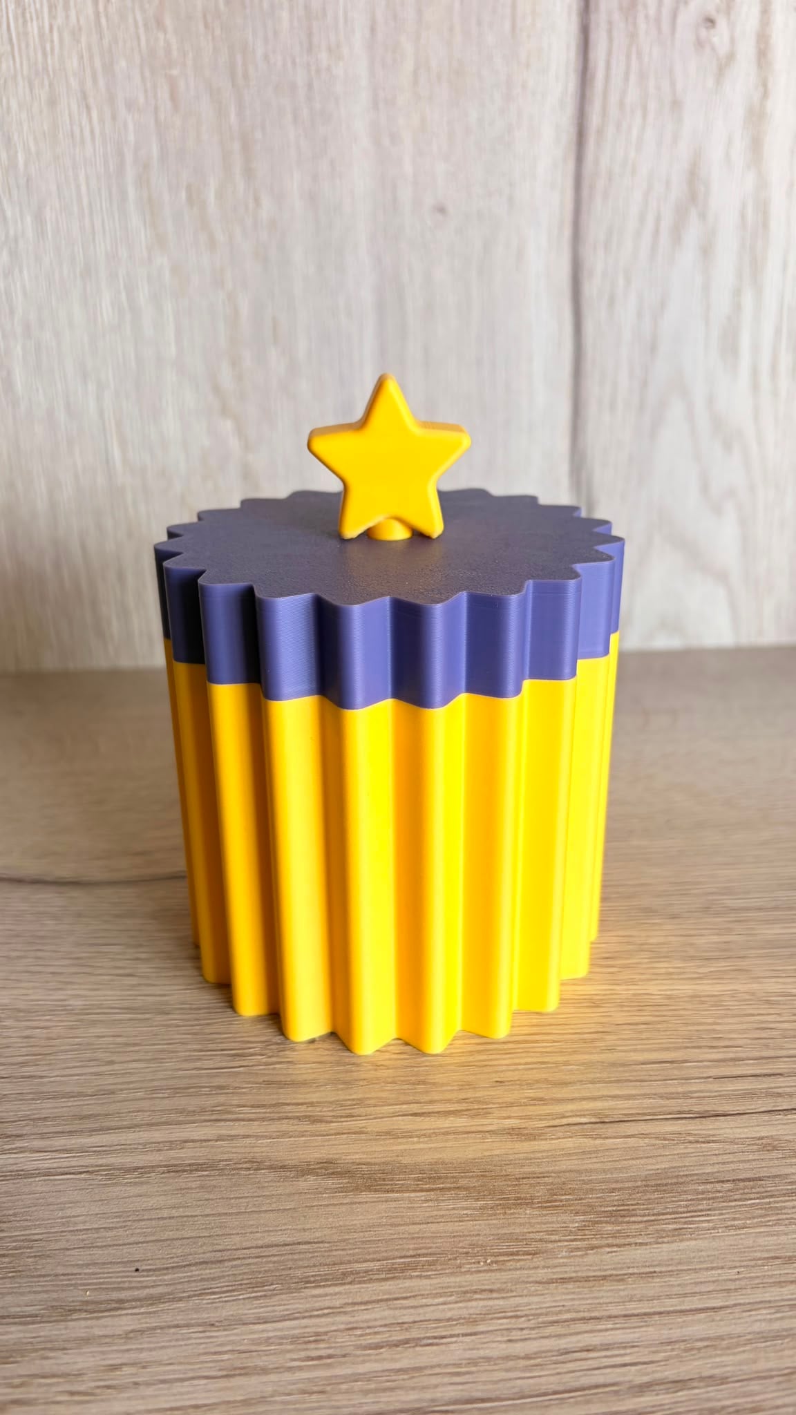 Star Organizer 3d model