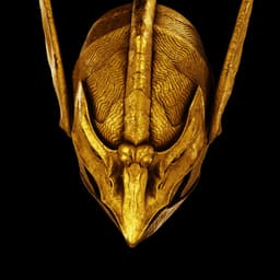 WYLDER DAWN HELMET and ORNATED MASK - Elden Ring Cosplay Fan Art Stl Model 3d model