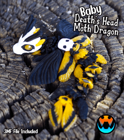 Baby Death's head Moth Dragon 3d model