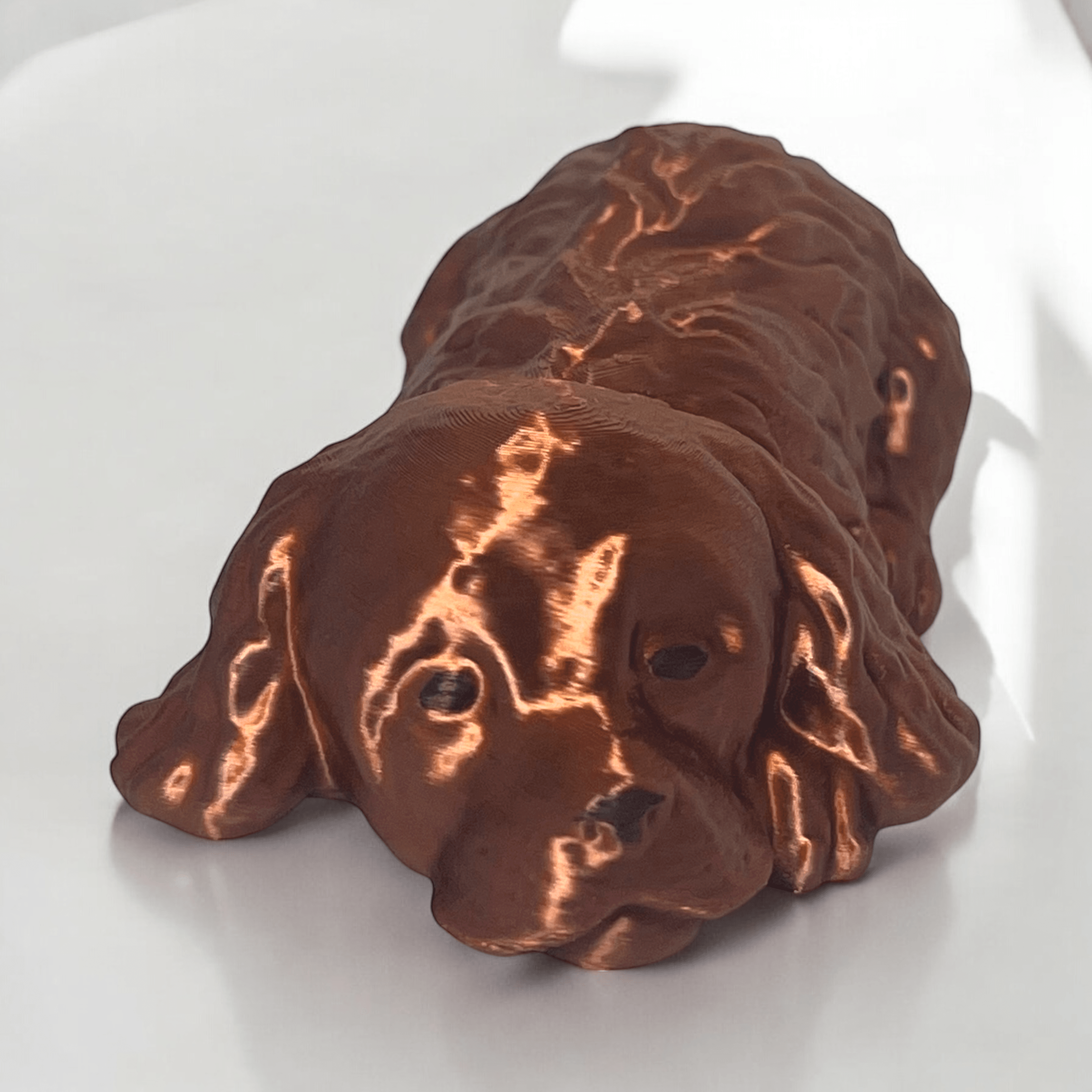 Cocker spaniel sleeping 3d model