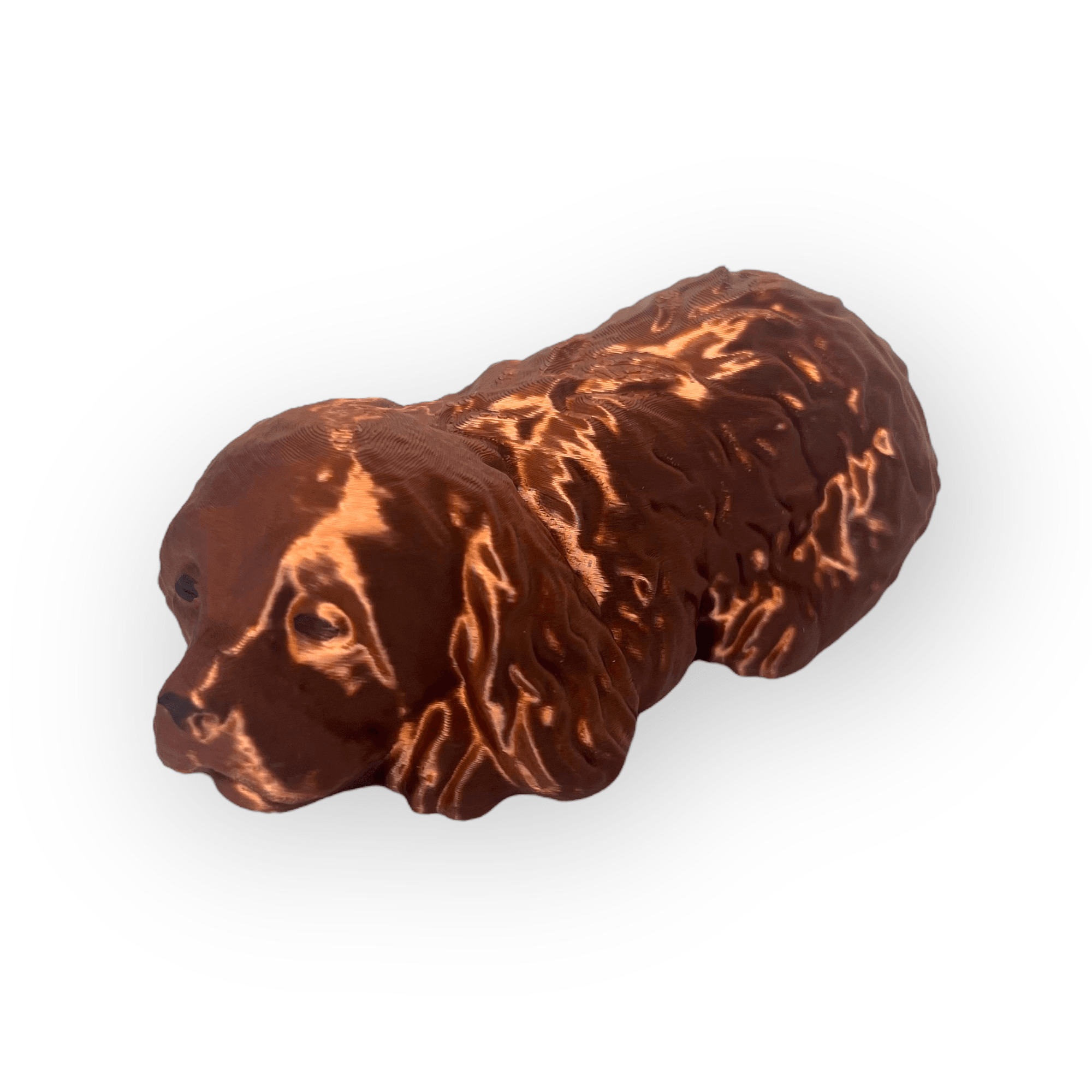 Cocker spaniel sleeping 3d model