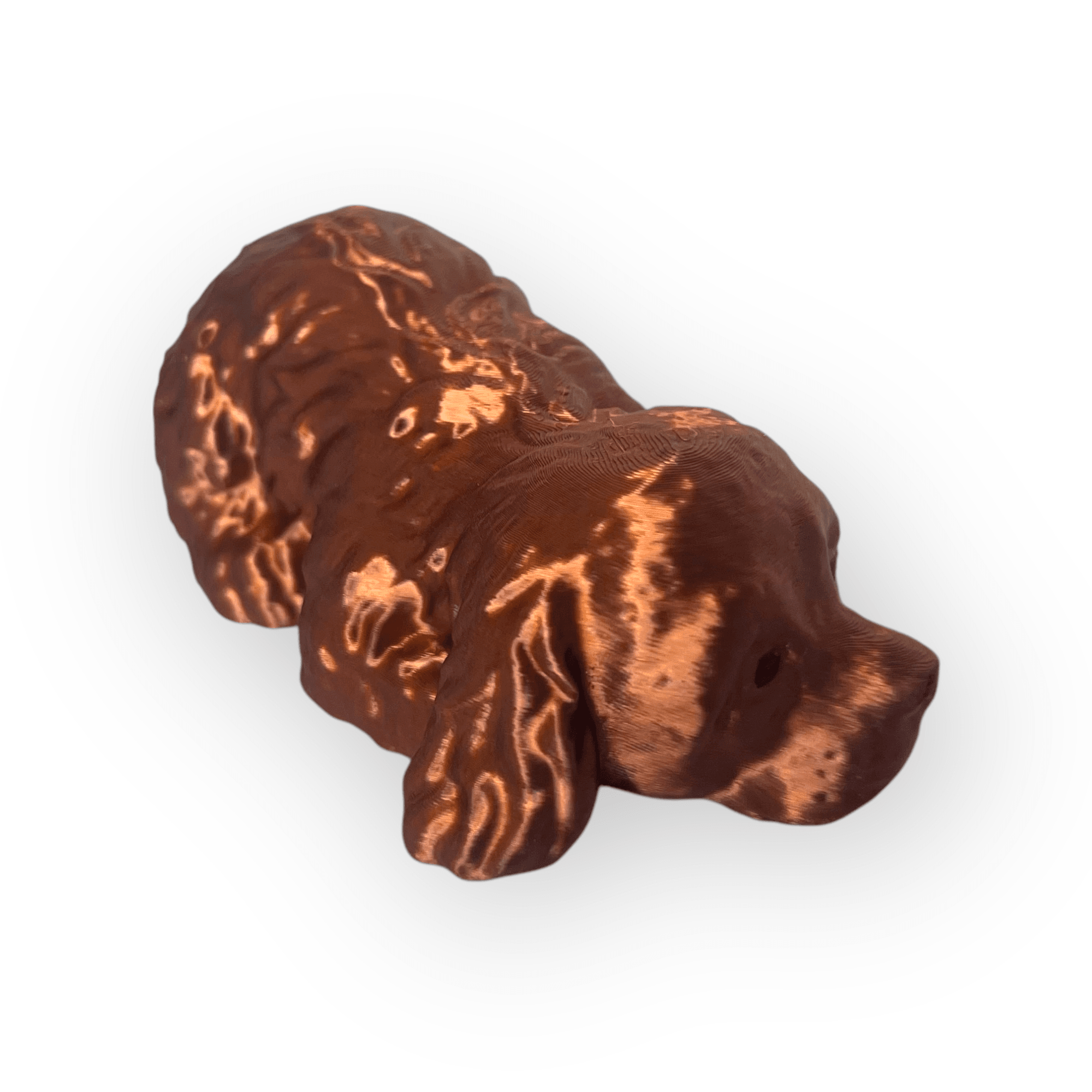 Cocker spaniel sleeping 3d model