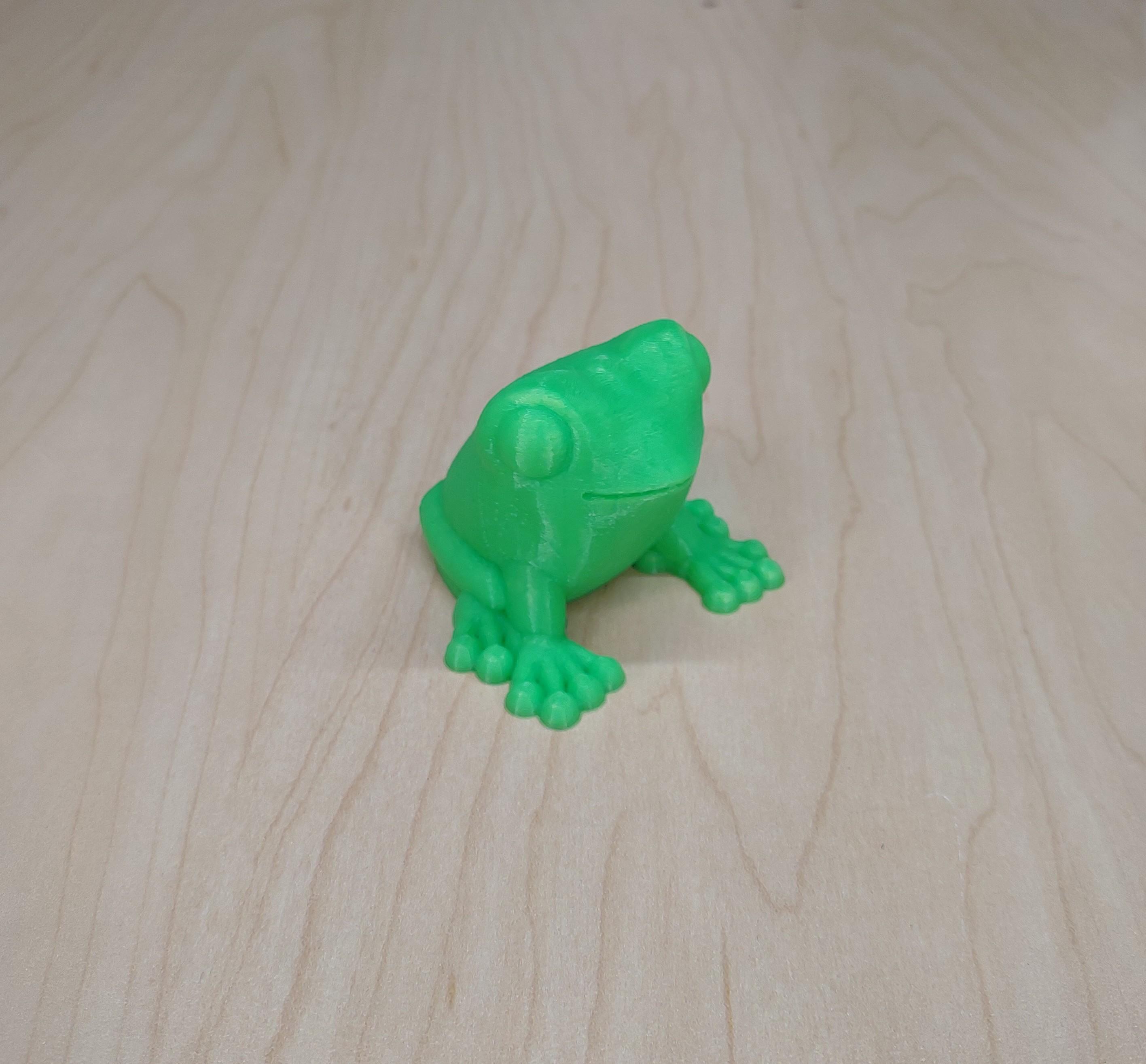 Frick the Frog 3d model