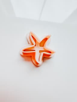 Starfish Outline 3d model