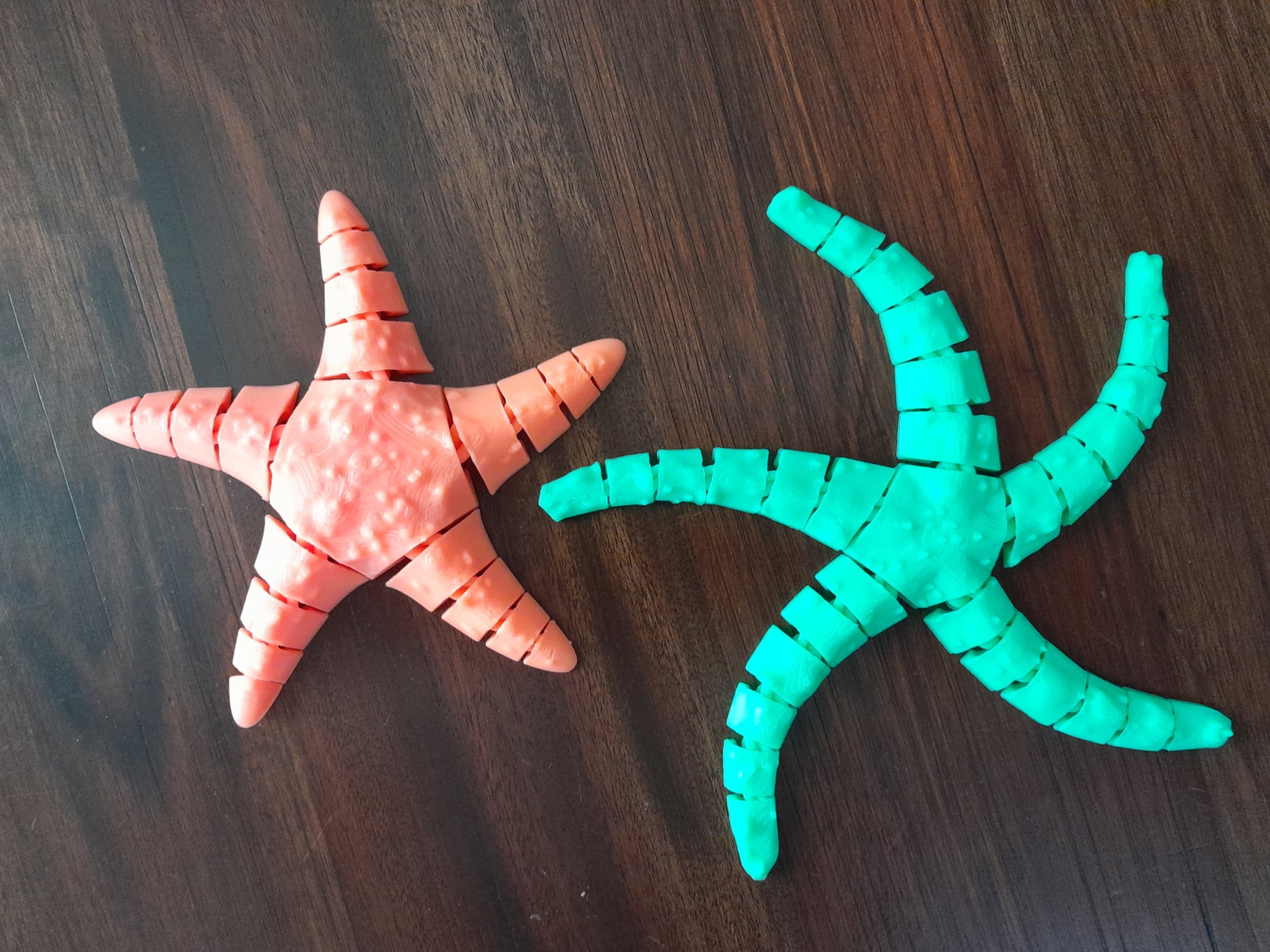 Flexy Starfish 3d model