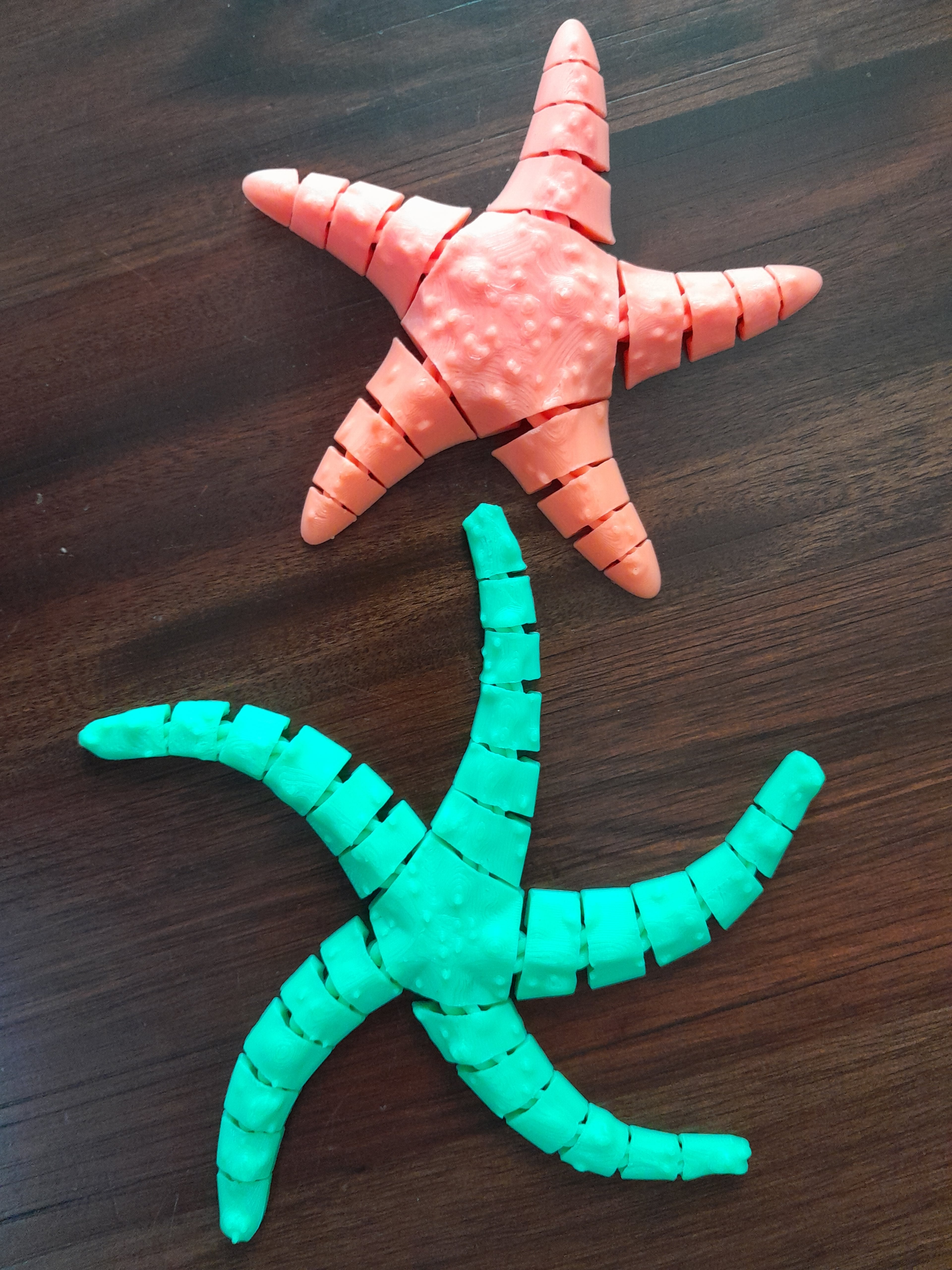Flexy Starfish 3d model