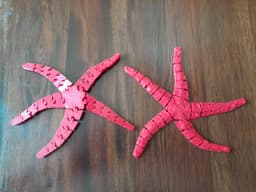 Flexy Starfish 3d model