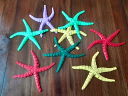 Flexy Starfish 3d model