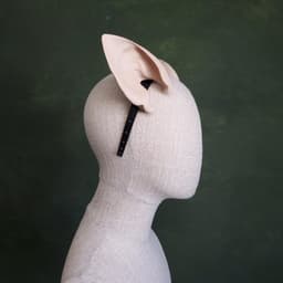 Rat Ears - Pointed 3d model