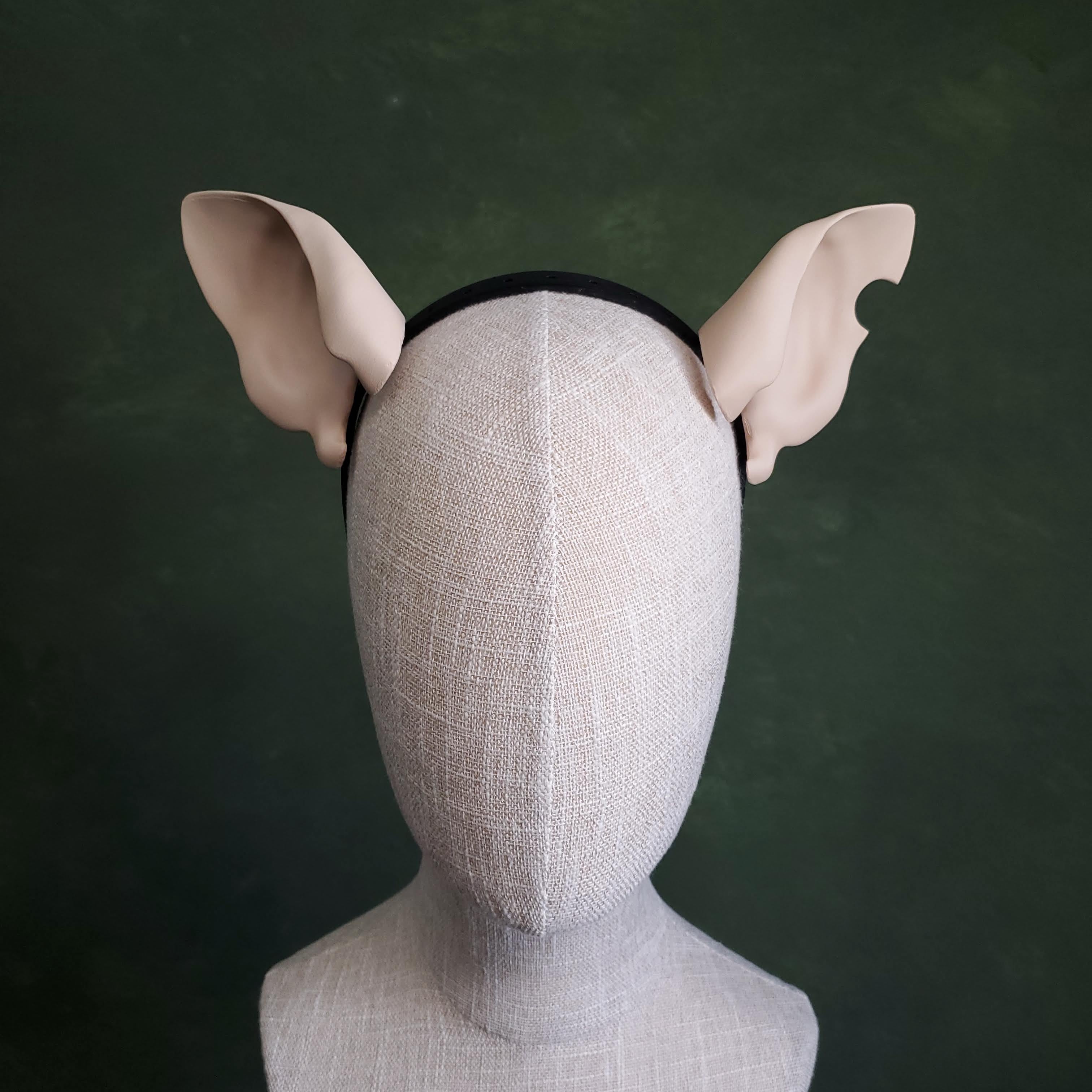 Rat Ears - Pointed 3d model