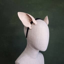 Rat Ears - Pointed 3d model