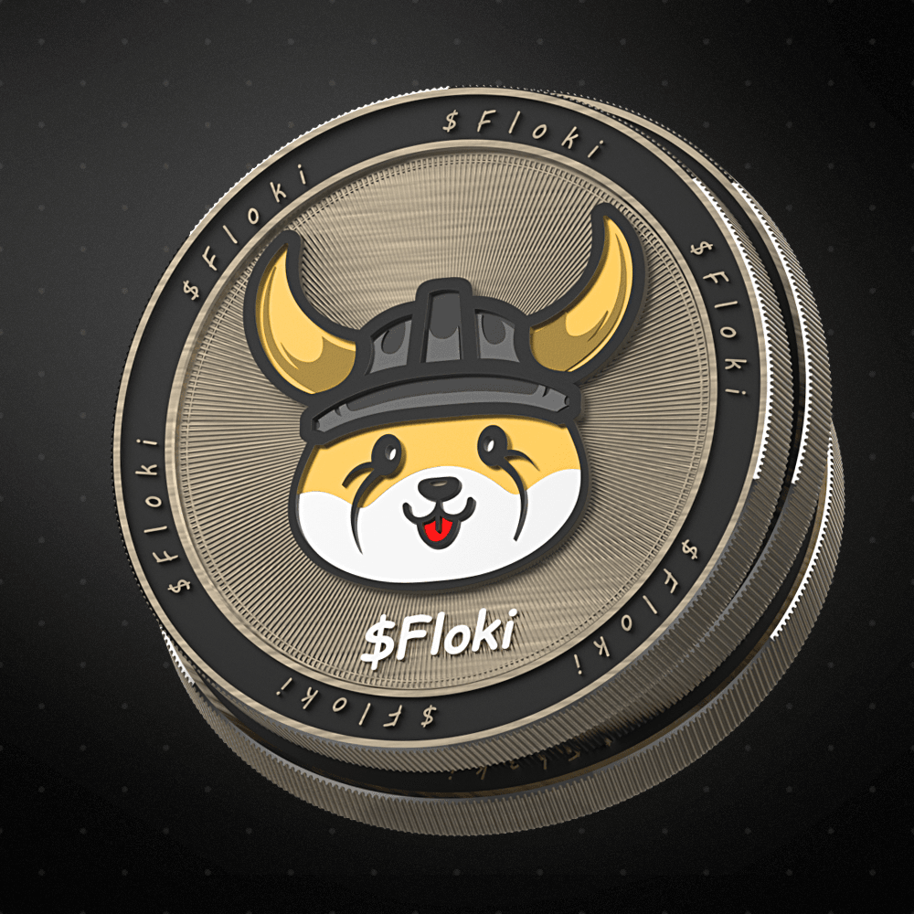 Floki Coin 3d model