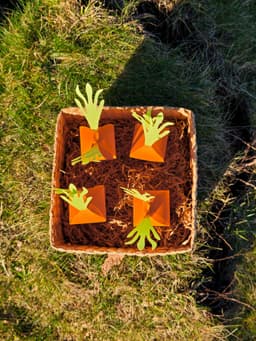 Easter Carrot Box 3d model