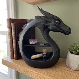 Fantasy Dragon Shelf - Curio & Crystal Display 3d model