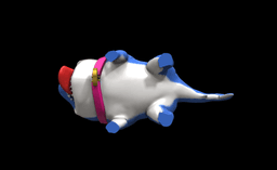 Jeff the Shark Figure and Flexi-Figure - Marvel Rivals 3d model