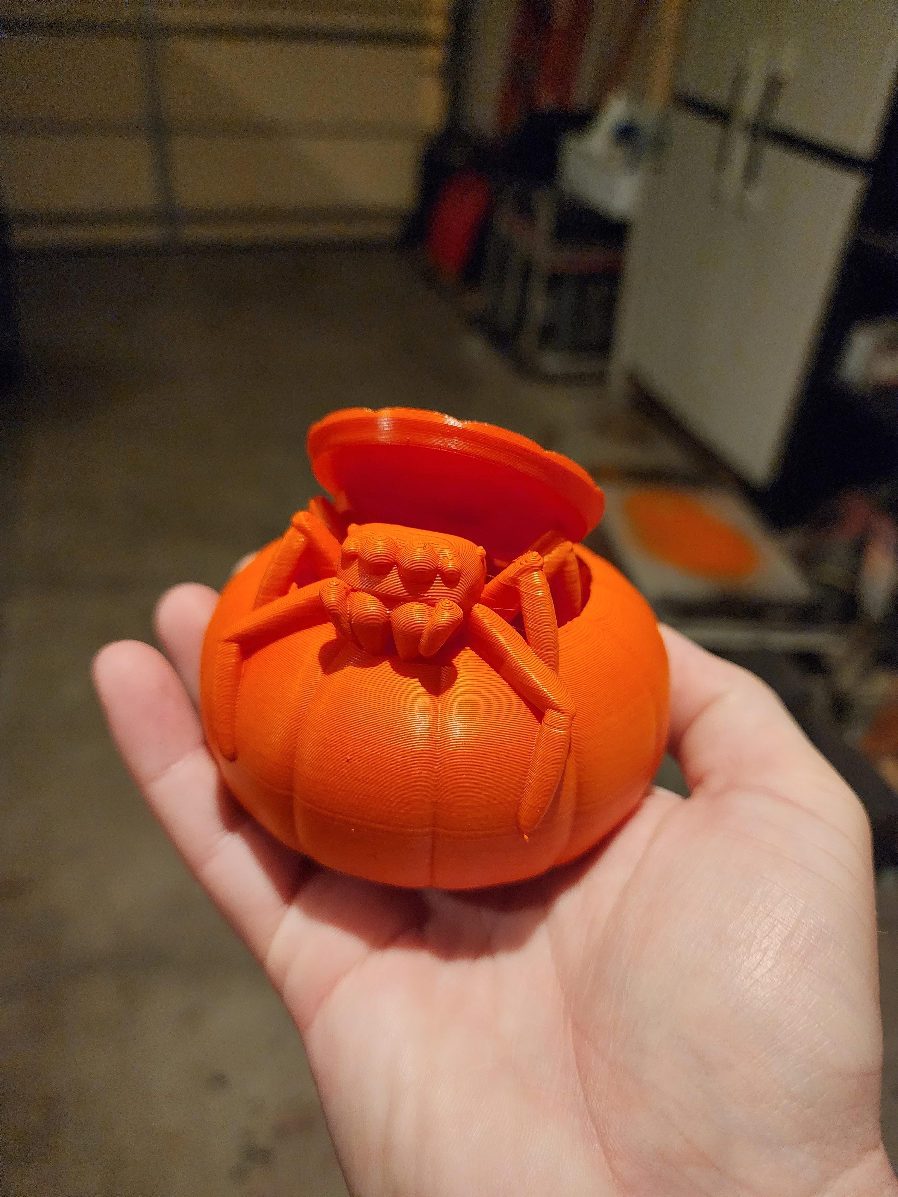 Jumping Spider in Pumpkin 3d model