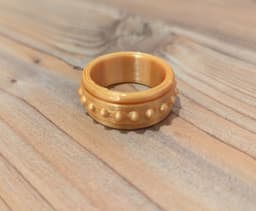 Studded Fidget Ring 3d model