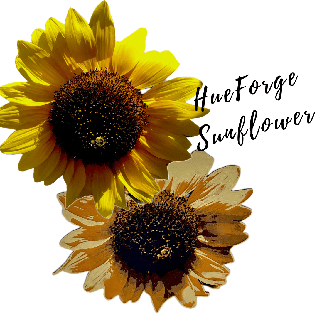 HueForge Sunflower 3d model