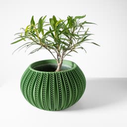 The Syne Planter Pot with Drainage Tray & Stand: Modern and Unique Home Decor for Plants 3d model