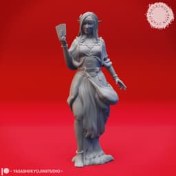 Vadoma - Fortune Teller Pair - Tabletop Miniatures (Pre-Supported) 3d model