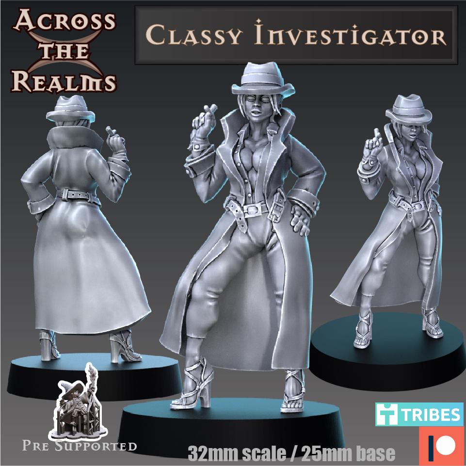 Classy Investigator 3d model
