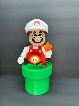 Fire Mario! 3d model