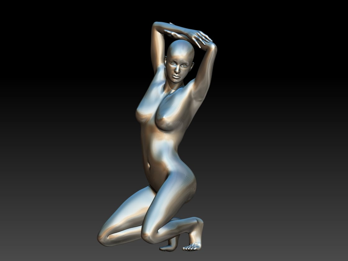 model arms up 3d model