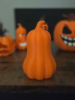 Tall Gourd 3d model