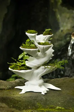 The Guardian Dragon Moss and Fern Planter 3d model