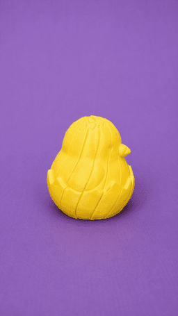 A chick in an egg Slim 3d model