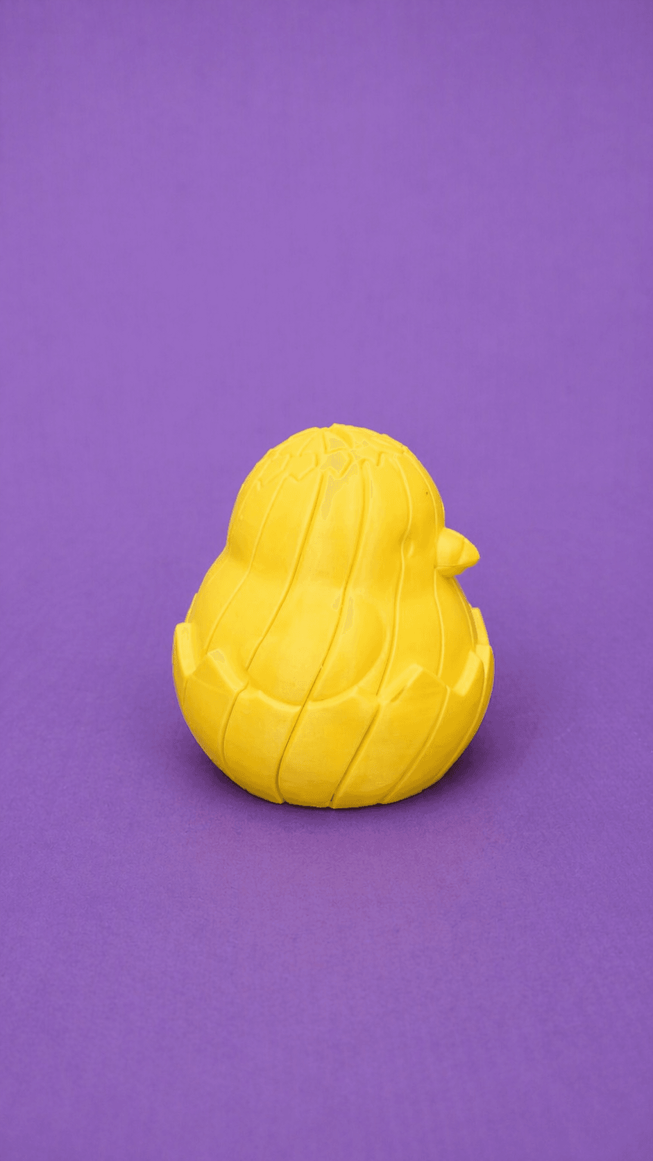 A chick in an egg Slim 3d model