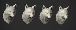Fox Bust - 4 Types 3d model