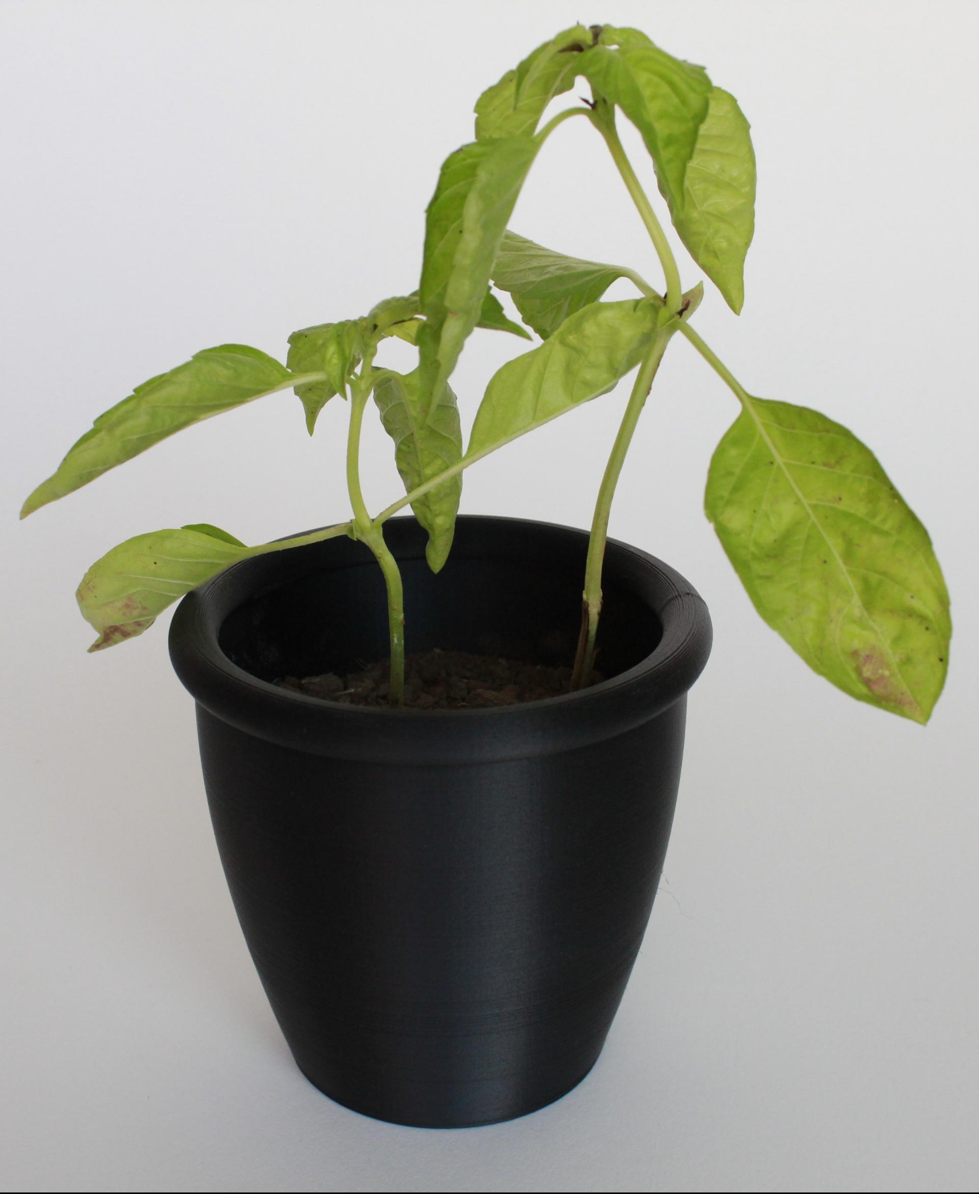 Plant Pot/Planter With Drain Holes 3d model