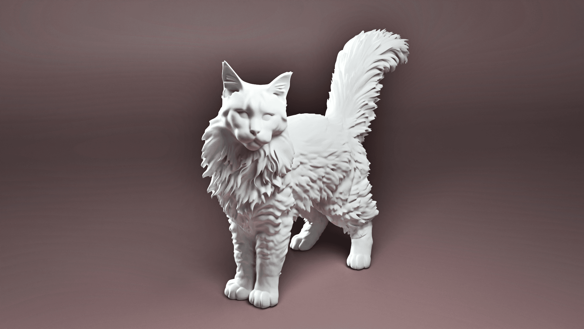 Maine coon cat 3d model