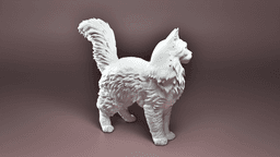Maine coon cat 3d model