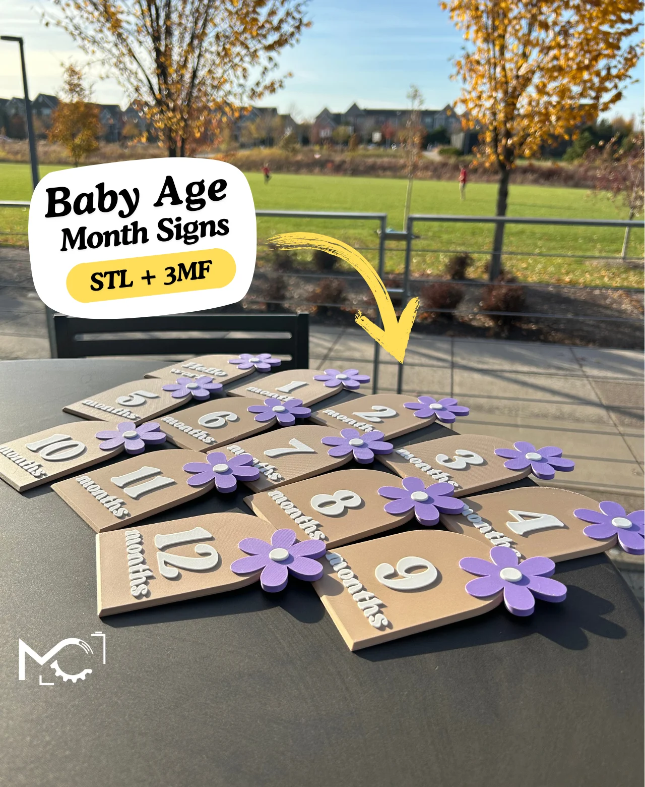 BabyAgePlacards 3d model