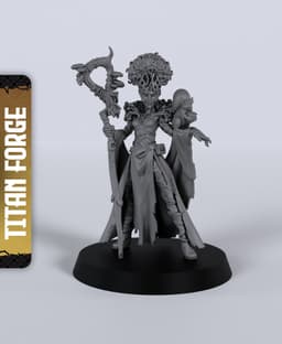 Spore Druid - With Free Dragon - 5e DnD Inspired for RPG and Wargamers 3d model