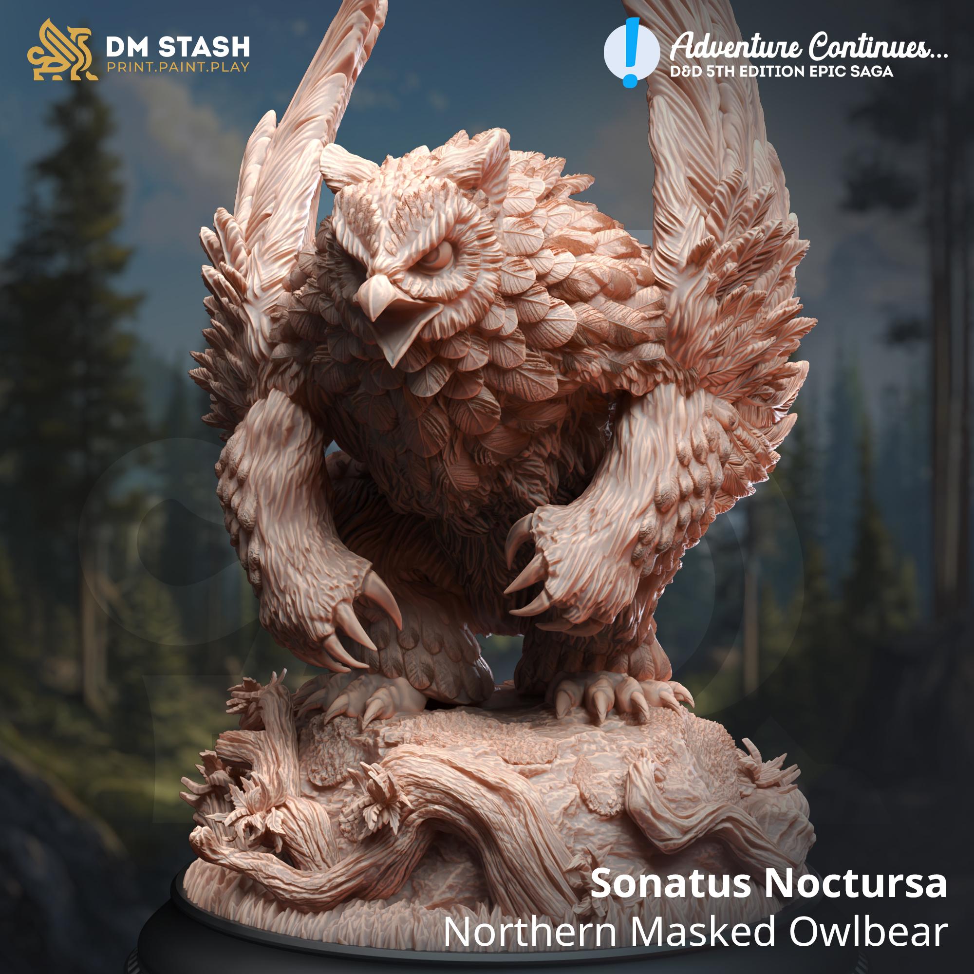 Northern Masked Owlbear - Sonatus Noctursa 3d model