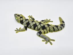 NEW FLEXI GECKO 3d model