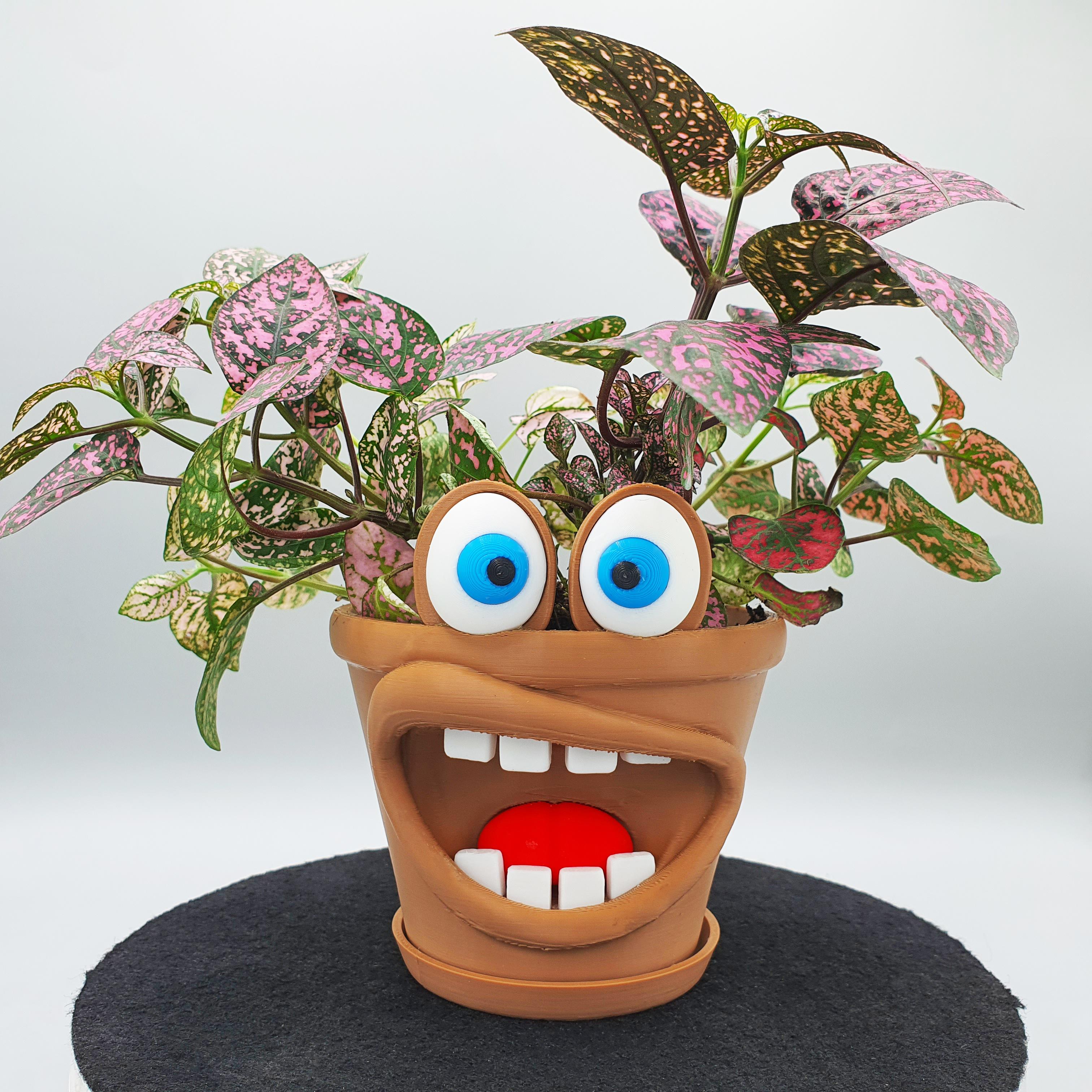 Funny Planter Pot- Chomper Pot 3d model