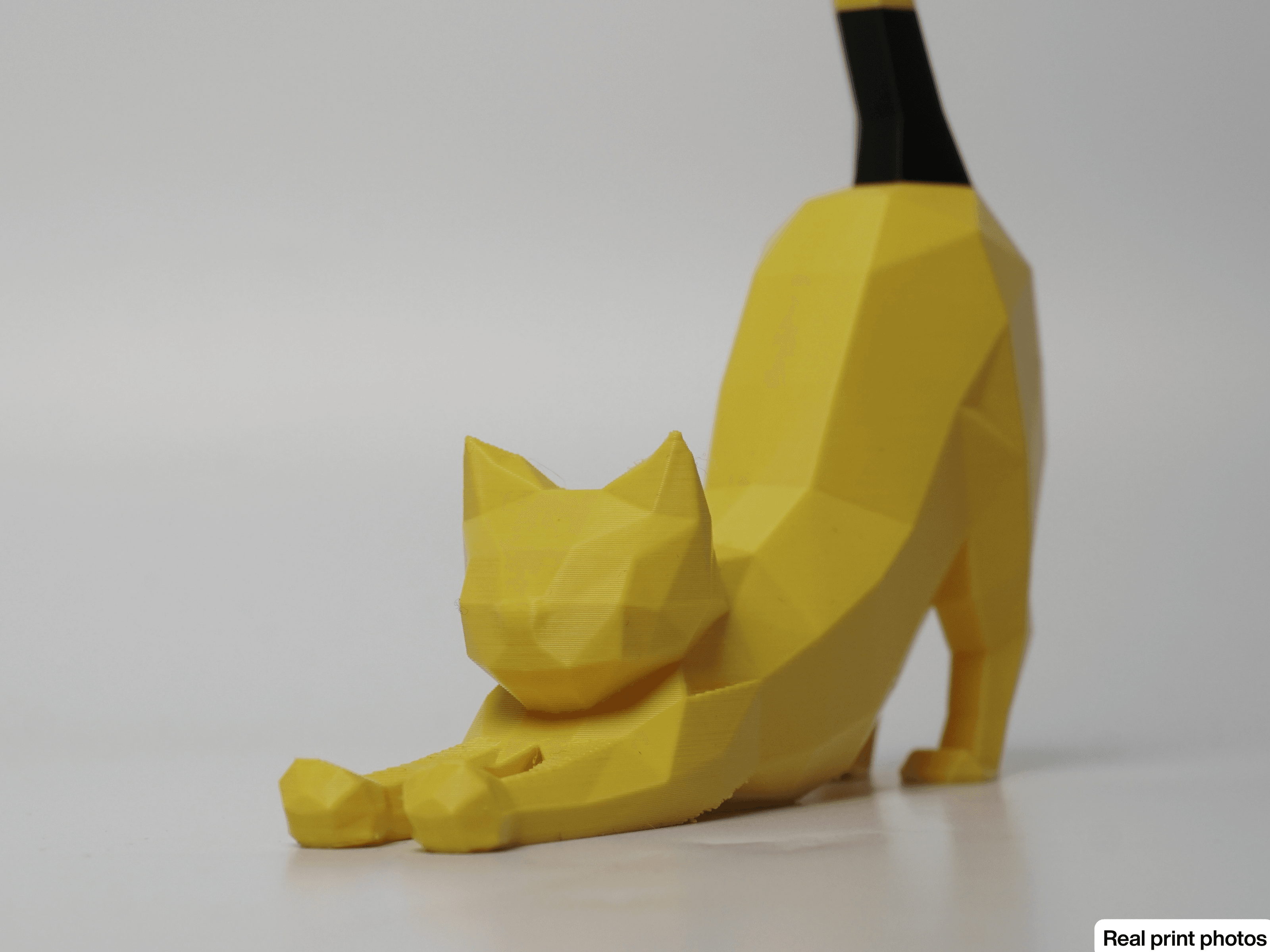 Low Poly Stretching Cat 3d model