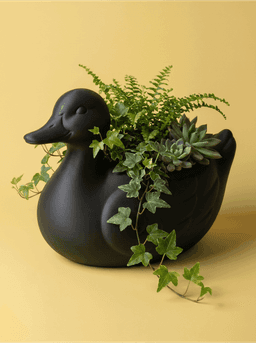 Duck Planter – 3D Printable Cute Animal Plant Pot and Home Decor 3d model