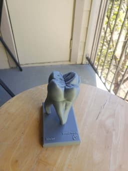 Anatomy of Moral Tooth 3d model