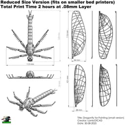 Dragonfly for Painting 3d model